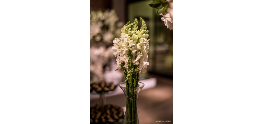 A Elegância do Branco na Decoração do Casamento