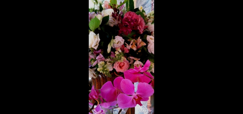 Casamento em Tons de Rosa e Roxo no Palácio dos Cedros