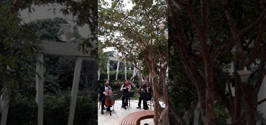 Casamento Marsala na Casa Panamericana 2017