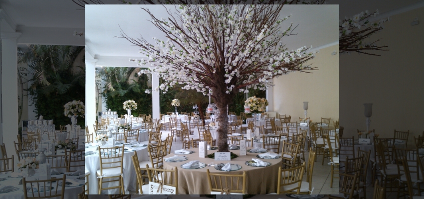 Casamento Rústico Branco DoisMileDezesseis