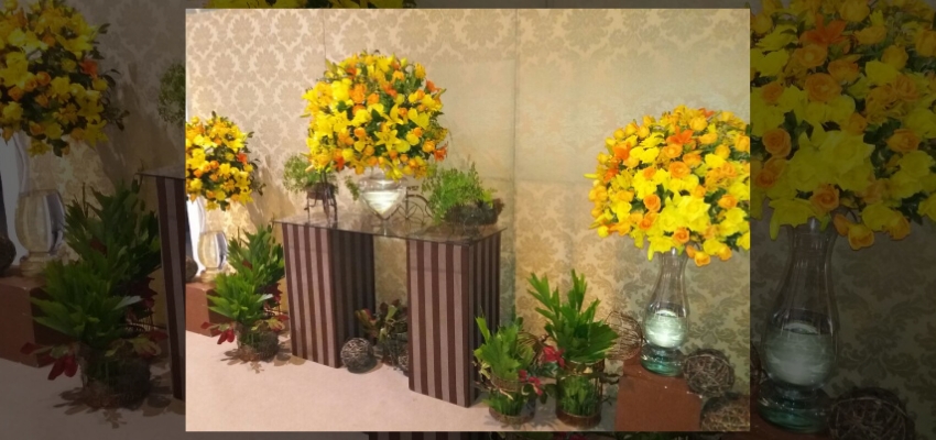 Turma de Medicina do Anhembi Morumbi Dois Mil e Dezesseis